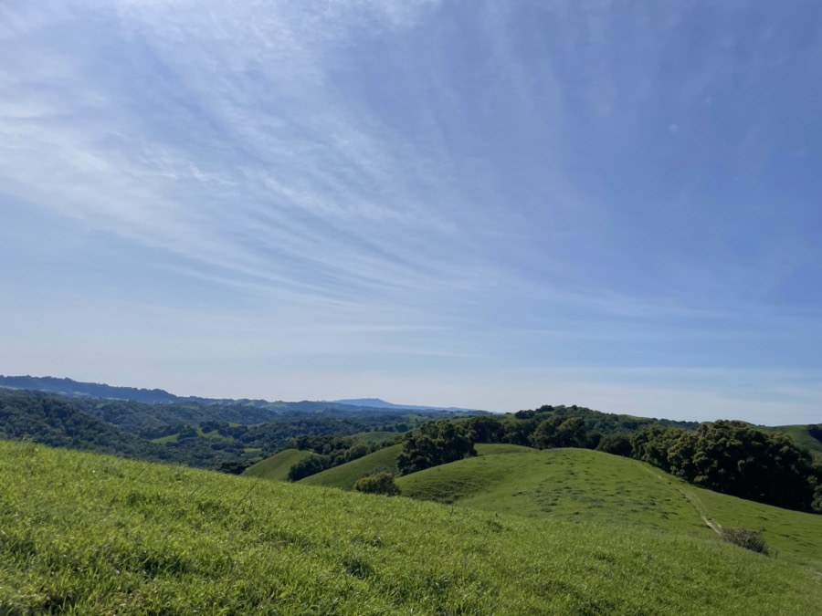 East Bay hills landscape