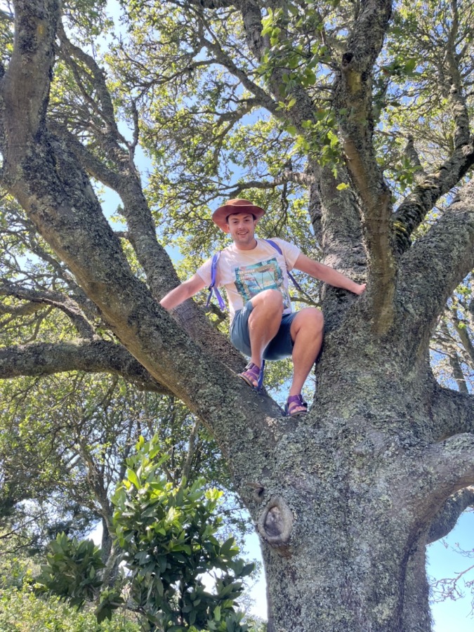 Jack in a tree in the hills